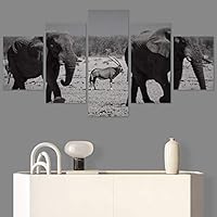 SIGNWIN 5 Panel Canvas Wall Art Animals Black and White Dramatic Duotone Modern Artwork for Home Decorations Ready to Hang - 60