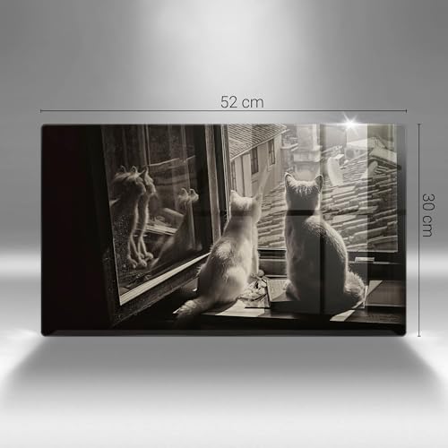 Plaque de protection induction multifonctionnelle verre - 7