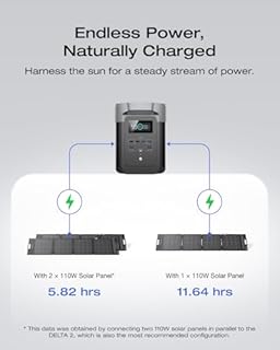 EcoFlow DELTA 2 Portable Power Station with 110W Solar Panel, 1-3kWh Expandable Capacity, LFP Battery, Fast Charging, Solar Generator for Backup Power, Camping & RVs