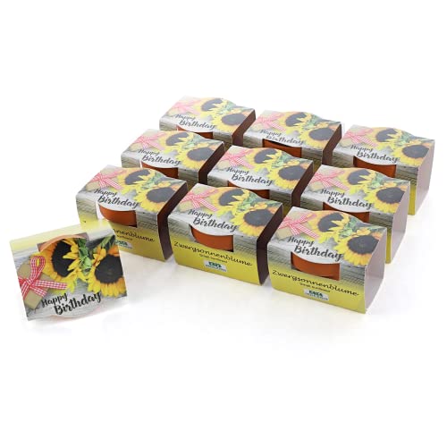 Bull & Bear 10er Set Mini Pflanzset 'Happy Birthday', Blumensamen im Topf 4,5cm, Mini Sonnenblume als Anzuchtset mit Pflegeanleitung