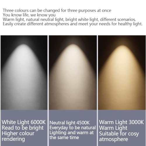 Plafonnier galet anti-scintillement doté d'une protection oculaire innovante - 7