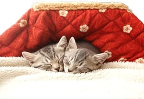 ybgp  ˂ L lR R^c  lR   Ck  H ~ h ΍ g[ g ybg ȃGl q[^[  e[u ӂƂ ybgp g[ 킢 ʂʂ   Lp ~jTCY