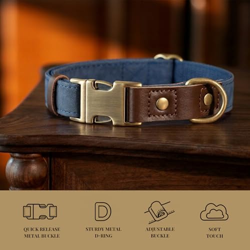 Image of Didog PU Leather Dog Collar for Small Dogs Puppy, Soft Lining, Blue S