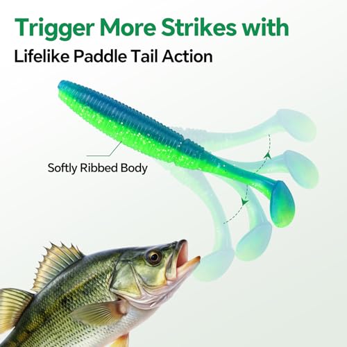 Image of Clearance Bionics-Designed Durable Soft Plastic Fishing Lures Kit with Bonus Accessories, 3 /4 /5 /6 Inch, 9-Type Lifelike Swimbaits in One Gear Set Included Tackle Box for Bass