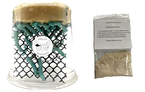 Premium Hornworm Habitat - 26-35+ Count per Cup | Nutrient-Rich Feed for Bearded Dragons, Geckos & Other Reptiles | Free 1oz Powdered Chow Included