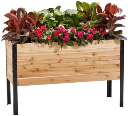 EARTH ELEVATED 100% Canadian Cedar Wood Elevated Garden Bed for Gardening - Planter Pot to Grow Herbs Flowers, and Vegetables at Home Indoor and Outdoor Patio Balcony Deck - 18” x 48” x 30”