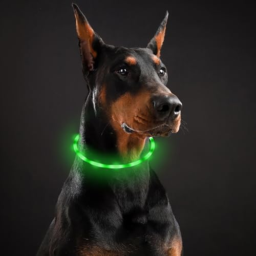 Leuchthalsband Hund Mit 7 Farben - USB-C Wiederaufladbar & Wasserdicht