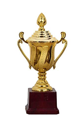 Be Win Winner Golden Fiber Nib Trophy for Sports, Event & Functions (B08JPRGR13) Amazon Price History, Amazon Price Tracker