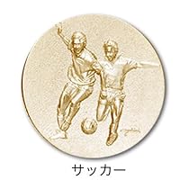 Amazon | [レーザー彫刻名入れ] GOLD SHACHI 表彰楯 盾 クリア楯