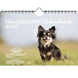 Calendrier 2025 Chihuahua pour chiots et chiens - Format A5 Seelenzauber