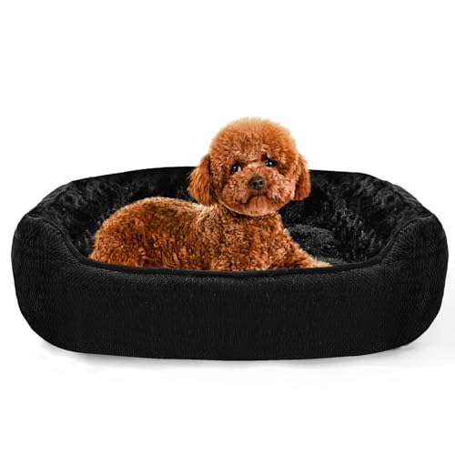 Muecleao Hundebett, Weiches waschbares Hundesofa mit Plüsch, bequemes Hundekissen und Rutschfester Hundekorb für kleine und mittelgroße Hunde (Schwarz, 50x40x13cm(L X W X H))