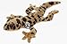 Peluche léopard gecko léopard - 27 cm - Yuma - Doudou * biz