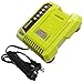 Ryobi OP401 40 Volt Lithium-Ion Battery Charger 140199003