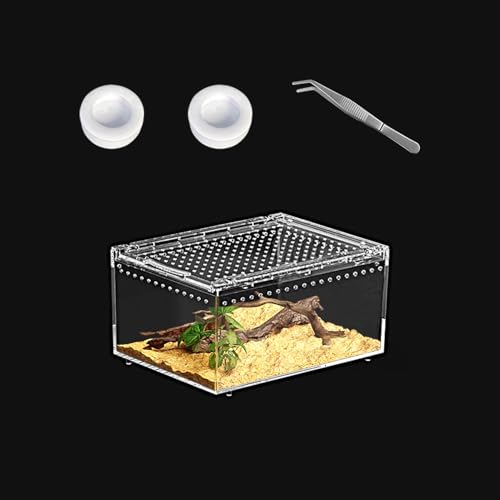 KAKOOTI Terrario per Rettili 20 x 15 x 10 cm, Contenitore per Tarantola, Set Iniziale per Ragni, Habitat per Granchio Paguro, Terrario per Lucertole, Gabbia per Ragno Saltatore (Piccola)