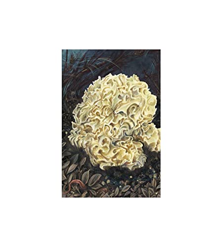 Image of Instant Wall Art Enchanted Mushrooms: 45 Ready-to-Frame Illustrations for Your Home Decor (Home Design and Decor Gift Series)