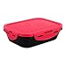 6 Pack Fitness Sure Seal Containers 20oz Black/Neon Pink Set of 5