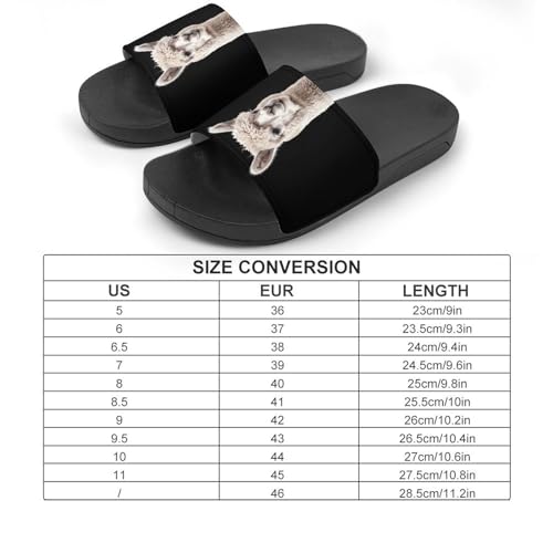 Llama Animal House Sandals Non-Slip Bathroom Slippers Beach Summer Shoes for Men Women2