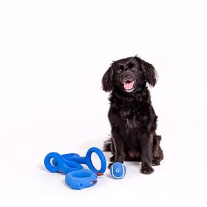 Ubbi Tennis Balls for Dogs, Interactive and Durable Fetch Toys for Medium Dog Breeds, Blue & Charcoal, 4 Pack Ubbi Tennis Balls for Dogs, Interactive and Durable Fetch Toys for Medium Dog Breeds, Blue & Charcoal, 4 Pack
