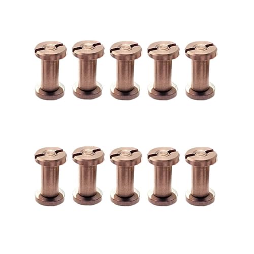 10Zbg CNC XeXX`[ M2.5 XshxbglW p |PbgiCtXP[nhɓK(Gold,M)