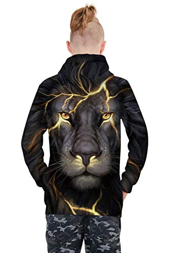 Raisevern Girls Boys Hoodies Cool Hooded Sweatshirt Casual 3D Pullover Hoodie For Kids Long Sleeve Hoodie Novelty Lightning Lion Soft Hoody With Pockets 12-13 Years #TOP2