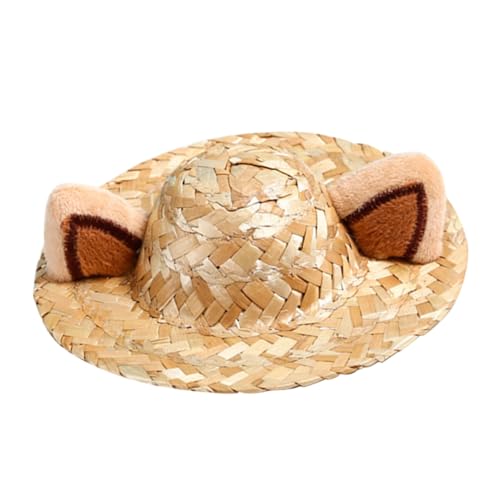 EXAOMBLE fUC  p Xq hN I pnbg g p[eB[