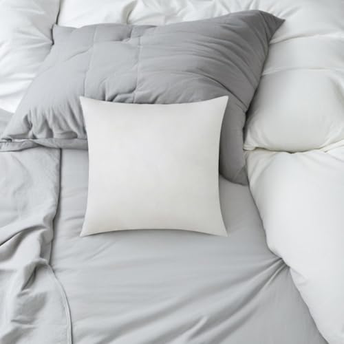 Relleno para cojines cuadrados Gadpiparty: 2 insertos de almohada mullidos para sofá 7
