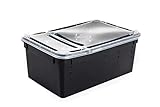 HAPPET Zuchtbehälter 19 cm mit Dunklen Wänden - Leichte und professionelle Box für Transport und Präsentation von Tieren, mit Ventilation und doppelseitiger Abdeckung