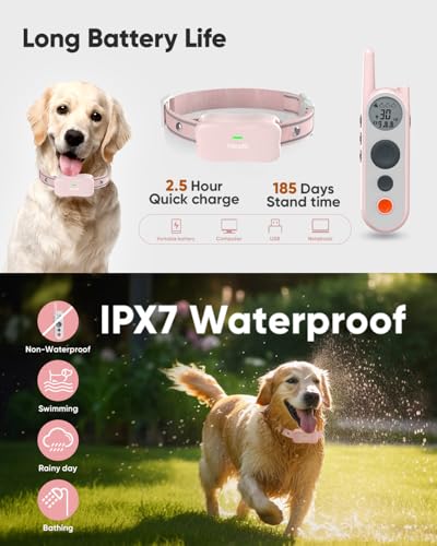 Htcuto X3 Dog Fence in Use