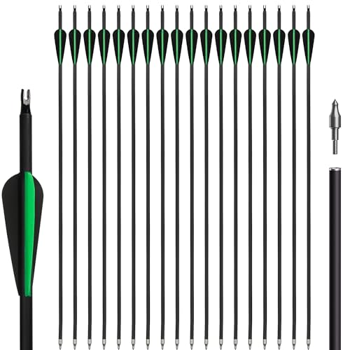 NorthSpoor 18 Pcs Archery Carbon Arrow Set 30 Inch with Removable Arrows for Compound and Recurve Bows Practice Hunting Arrows