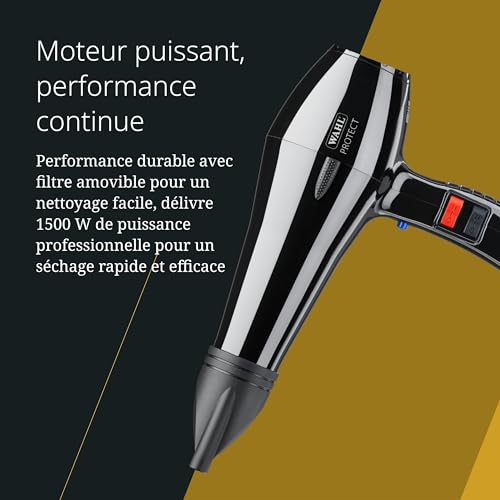 Sèche-cheveux professionnel puissant brossage cheveux épais