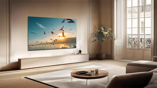 TCL P8K 65” — pied et fixation