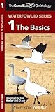 Cornell Lab of Ornithology Waterfowl ID: #1 The Basics