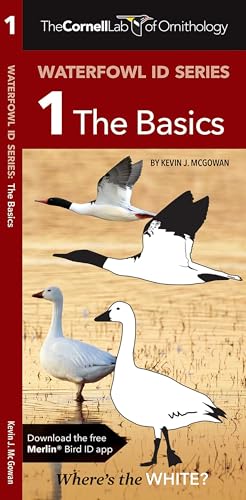 Cornell Lab of Ornithology Waterfowl ID Series: 1 The Basics (Nature Observation North America)