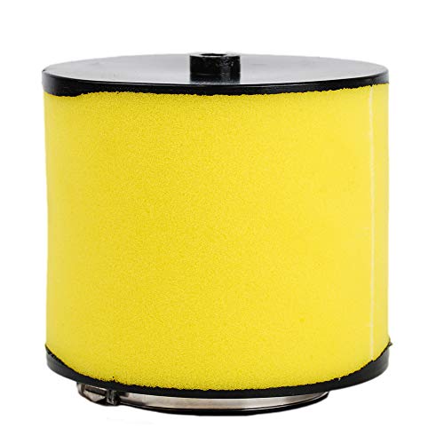 Hifrom Bigger Air Filter Replacement For Honda 350 Rancher 2X4 4X4 2000 2001 2002 2003 2004 2005 2006 Replacce 17254-Hn5-670 #TOP6