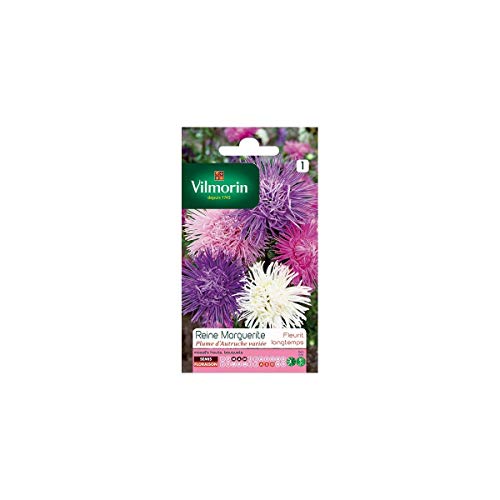 Vilmorin - Sachet graines Reine marguerite plume d'autruche variée