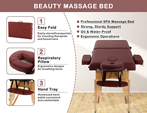 Massage Tables Portable Lash Bed 73 inch Tattoo Table, Height Adjustable Portable Spa Bed, 2 Folding Chiropractic Table w/Carry Case/Face Cradle/Hand Pallet/Towel Hanger/Oil Pouch/Sheet/2 Bolster