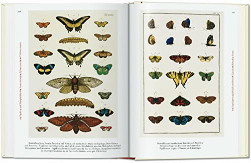 Cabinet of Natural Curiosities: Das Naturalienkabinett Le Cabinet des curiosites naturelles; Locuple