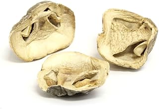Essential Spice Dried Paddy Straw Mushrooms