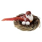 DEKORATION: mit künstlichen Vogeleiern ist die perfekte Dekoration für Ostern oder den Laden. Kann auch als Spiel- oder Vorschulspielzeug verwendet werden.