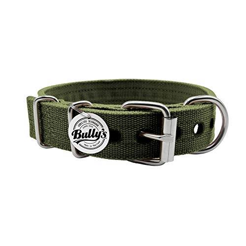 5 Best American Bully Collars