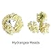 Veryhome Blooming Silk Hydrangea Flower Heads for DIY Bouquets Wedding Centerpieces Home Decor (Cream White) 12pcs