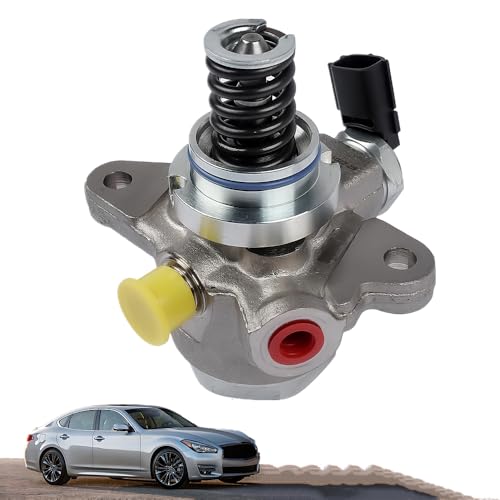TEKKOAUTO High Pressure Fuel Pump Replacement for Nissan TITAN Armada NV2500 NV3500 2016-2024 Infiniti M56 QX56 Q70L Q70 2011-2019 5.6L 166301LA0A 166301LA0B