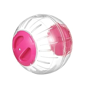 POPETPOP Hamster Bal-Hamster Loopwiel Huisdier Oefening Bal Klein Dier Rollende Bal Speelgoed Voor Gerbils Chinchilla’s…