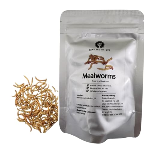 Thailand Unique Mealworms, Dehydrated Edible Insects for Humans, 10g