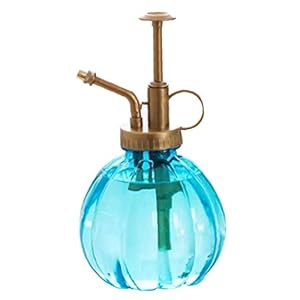 Plastic Bloem Water Spray Vintage Pompoen Plant Mister Fles, 6 “Tall Water Spray Fles voor Indoor Potplanten Terrariums Bloemen