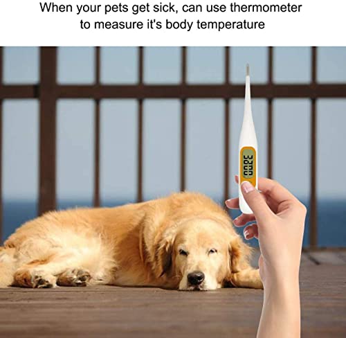 Erste-Hilfe-Set für Hunde und Haustiere von onetwothree