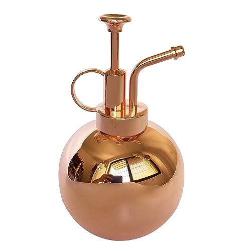 LIANSHI Pulverizador de Plantas de Acero Inoxidable, pequeña regadera para Plantas, Herramientas Modernas de jardinería para Plantas en Maceta de Interior, riego y pulverización (0.5L/ Oro Rosa)