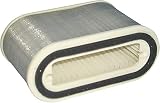 HiFlo Filtro Air Filter - HFA4910