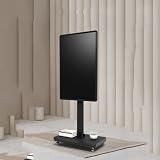 LBAawxe 32-65 Inch Mobile TV Cart on Wheels - Portable Floor TV Stand Holds, Horizontal and Vertical Screen Fixed