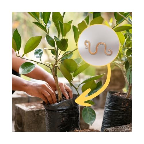 Vignette produit